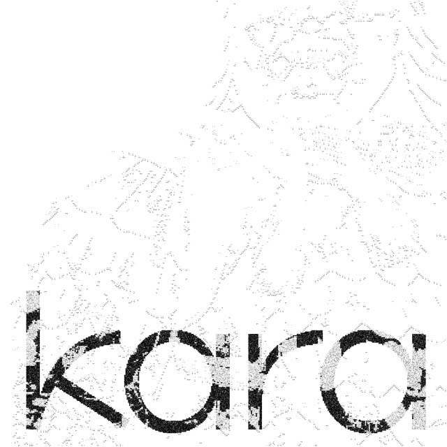 Portfolio work